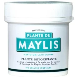 Plante-de-Maylis-en-gélules-–-Abbaye-Notre-Dame-de-Maylis-Divine-Box